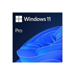 Wındows 11 Pro - Esd Fqc-10572